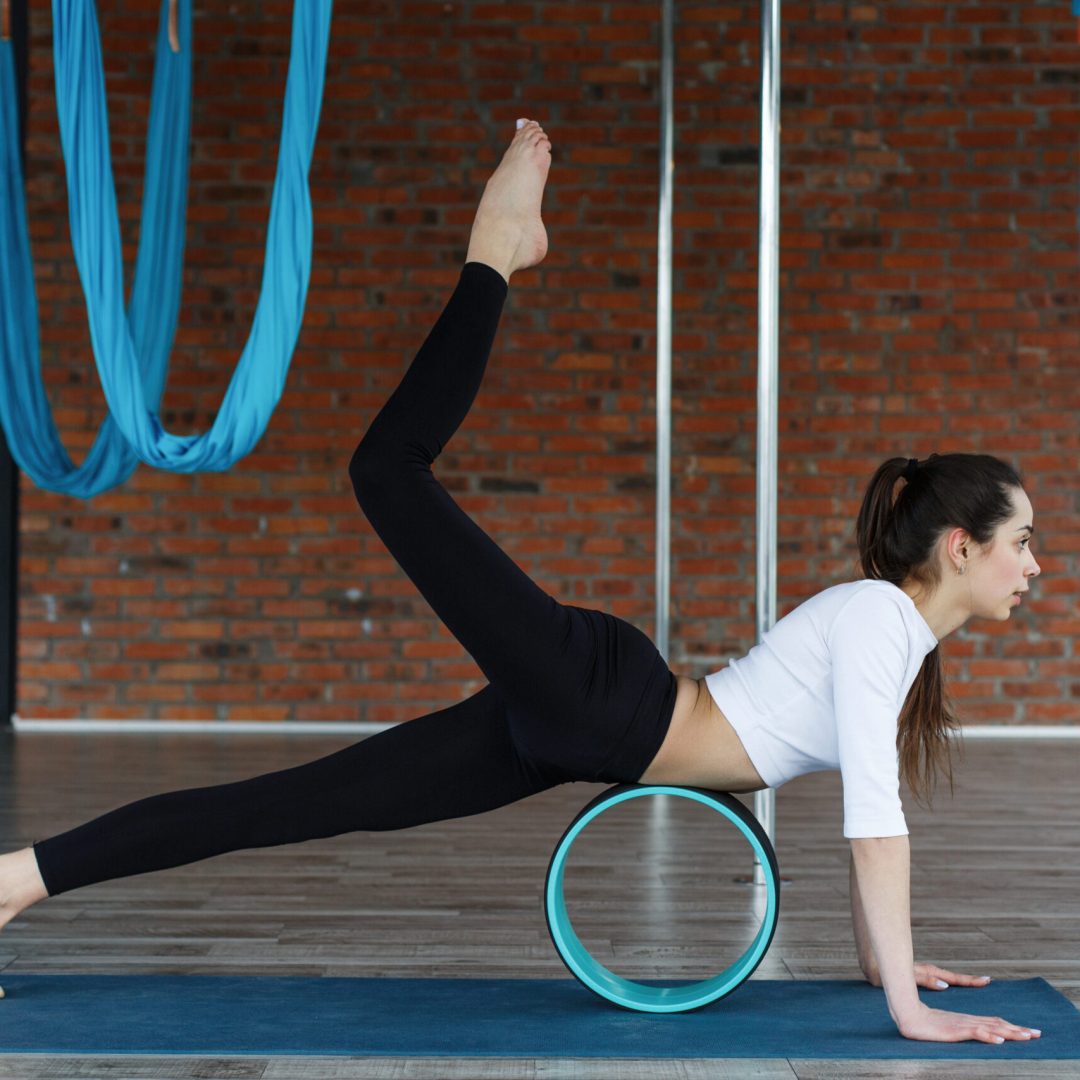 Senior Citizen Fitness rehab workouts